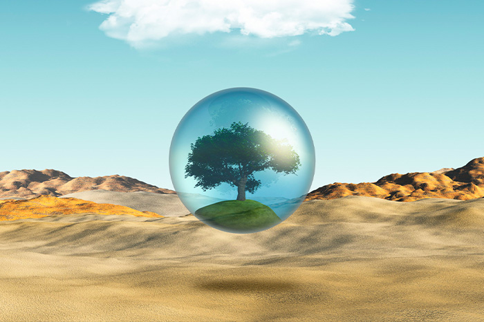 Mitigation-&-Nature-Based-Projects